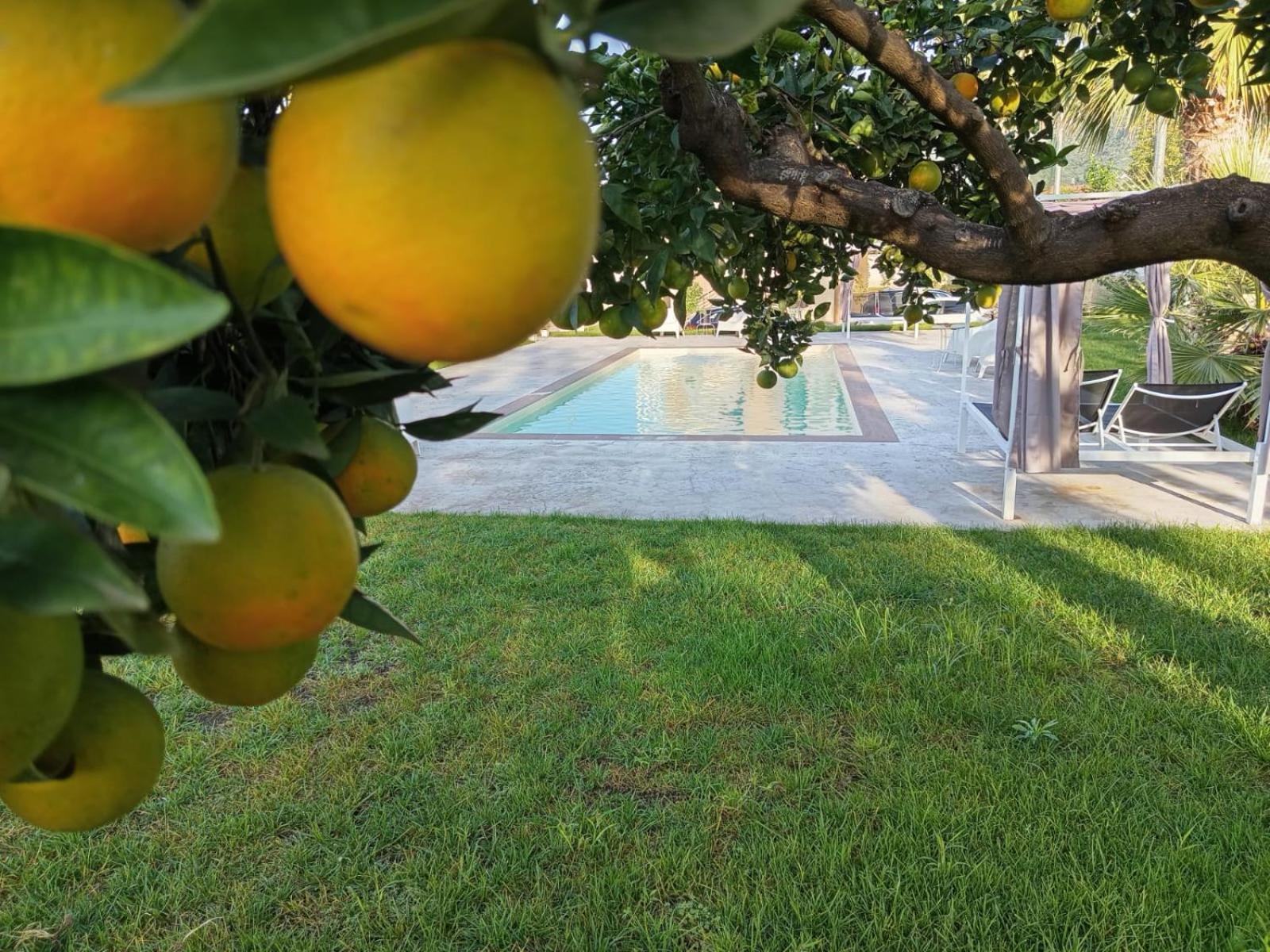 B&B Villa Limao Sarno Buitenkant foto